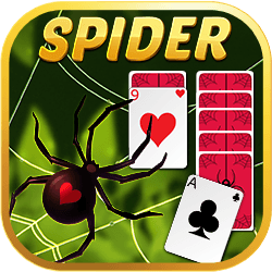 Play Spider Solitaire